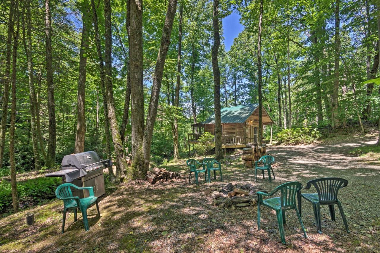 Creekside Cabin With Deck In Pisgah Forest! Barnardsville Luaran gambar