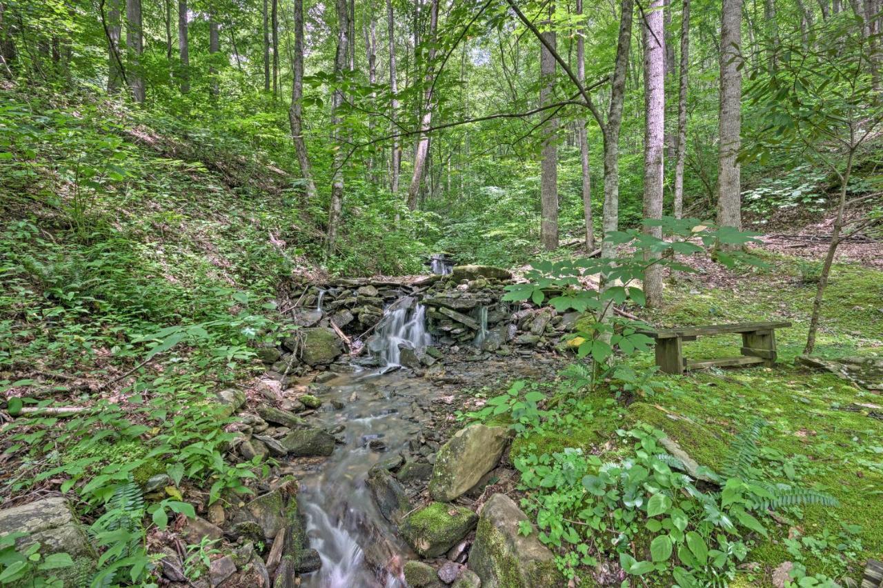 Creekside Cabin With Deck In Pisgah Forest! Barnardsville Luaran gambar